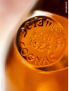 Delmain - Cognac Pale & Dry XO 50cl
