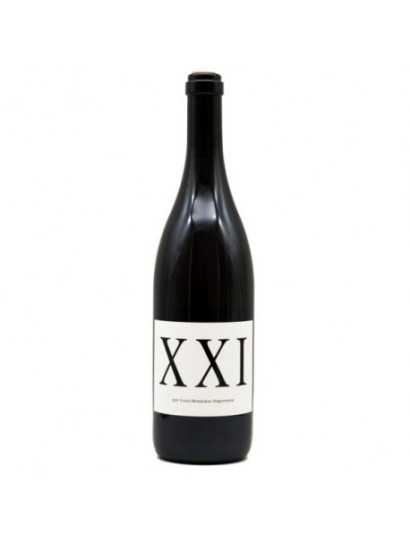 Domaine Louis-benjamin Dagueneau - XXI Blanc
