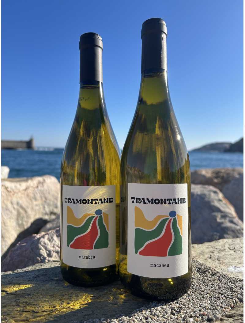 Tramontane Wines - Tramontane Macabeu Blanc