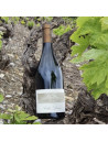 Le Clos Louis Blanc