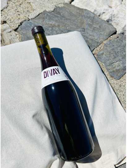 Domaine Léah Anglès - Divay rouge