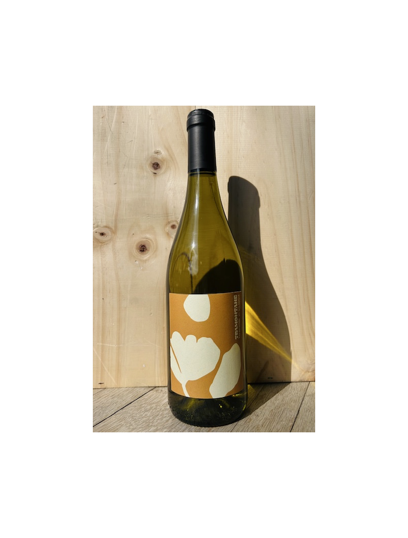 Tramontane Wines - Tramontane blanc Bio Tramontane Wines - Tramontane blanc Bio