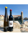 Domaine Pithon - Vitriol Rouge