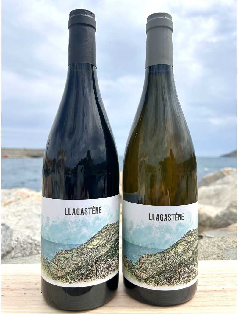 Domaine Llagastère - Blanc Domaine Llagastère - Blanc