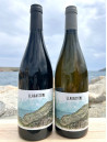 Domaine Llagastère - Blanc