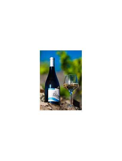 Domaine Pic Joan Blanc