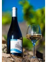 Domaine Pic Joan Blanc
